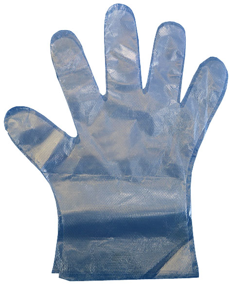  PE